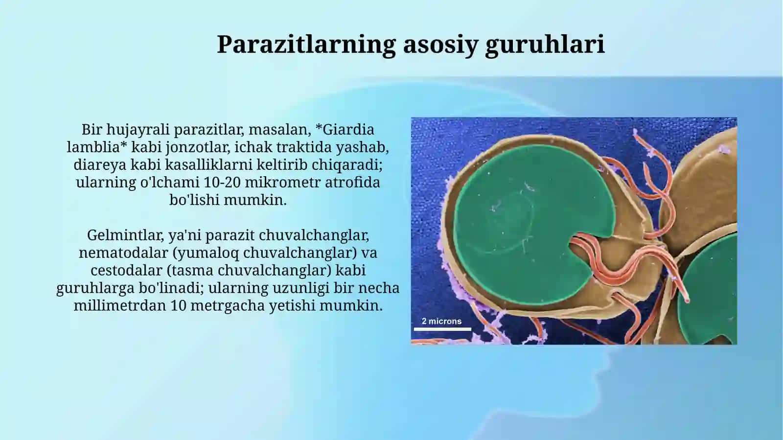 Parazitlar klassifikatsiyasi, parazitizmning kelibchiqishi 4