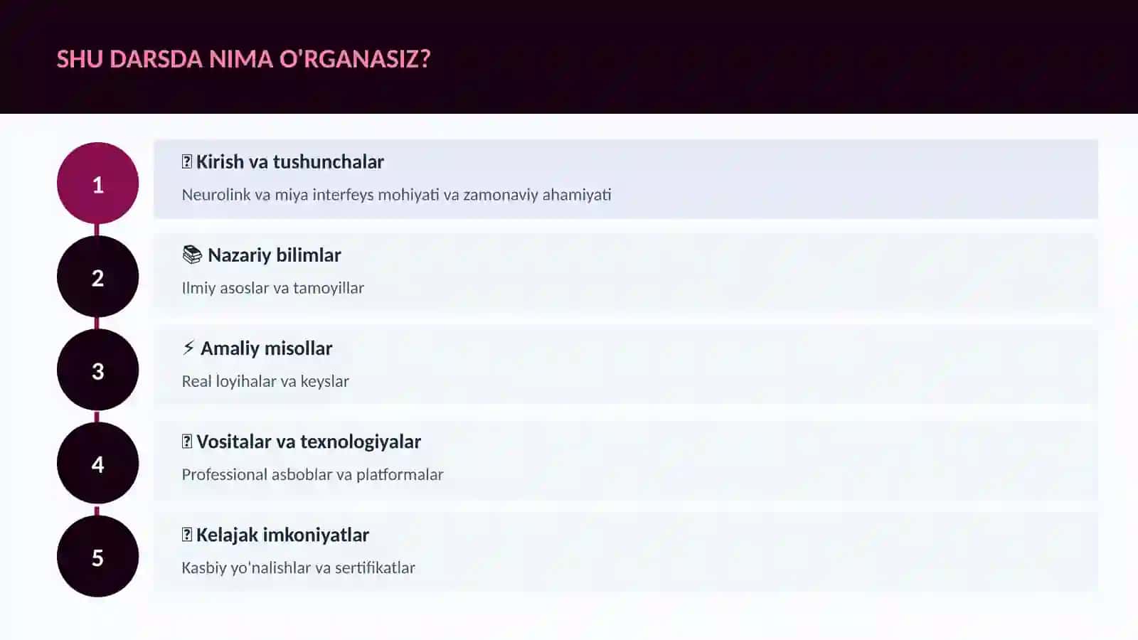 Neurolink va miya interfeys 4