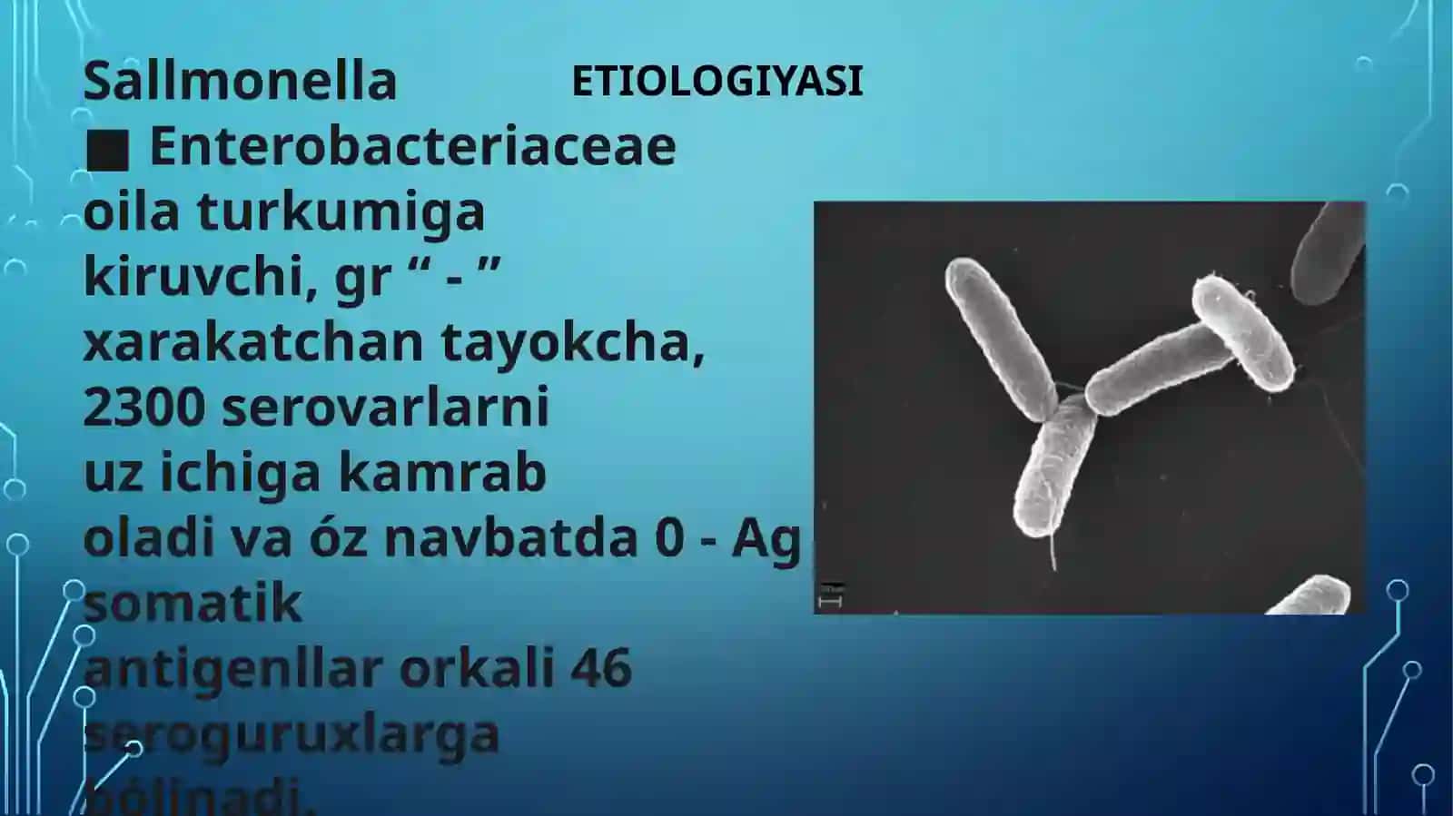 Ovqatdan zaharlanish yuqumli kasallik qo'zg'atuvchilari-salmonellez,botulizm kasaliklarini laboratoriya tashxisi 4