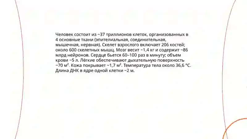 Биосоциальная сущность человека 4