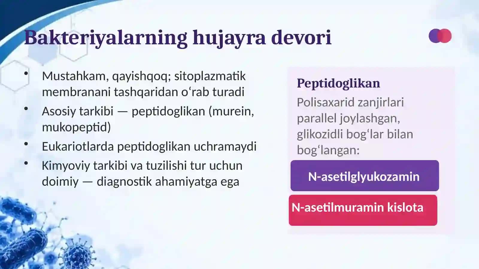 Bakteriya hujayrasi tuzilishi 4
