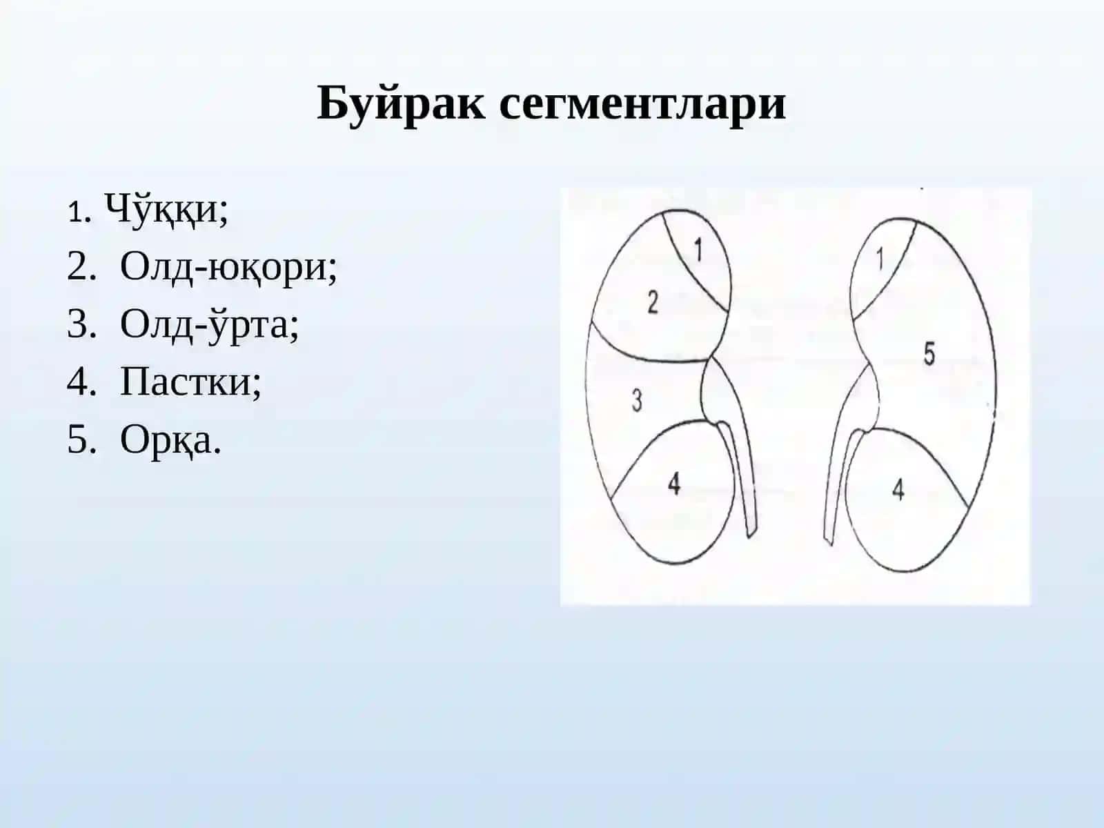 Рентгенологик усуллар 4