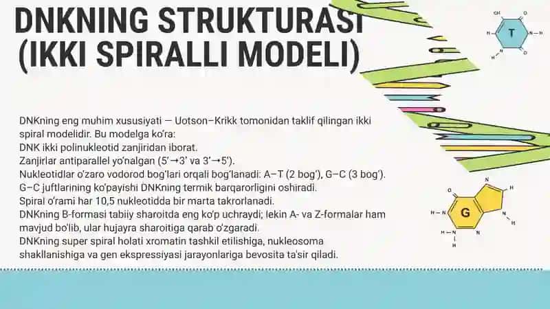 Nuklein Kislotalarning Kimyoviy Tarkibi va Strukturasi 4