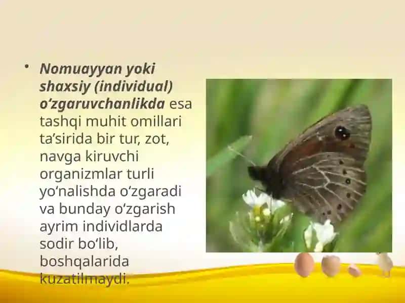 Evolutsiyani harakatlandiruvchi kuchlari.Irsiy o‘zgaruvchanlik 4