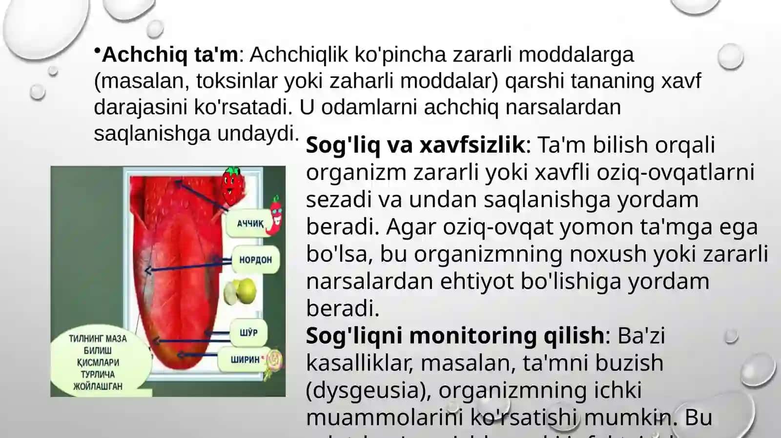 TA’M BILISH VA HID BILISH FUNKSIALARINING AHAMIYATI 4