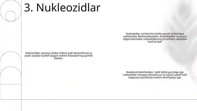 Nukleozid Nukleotid Nukleozidlarning Mona Va Polifosfatlari Nukleazid Siklofasfatlar 4