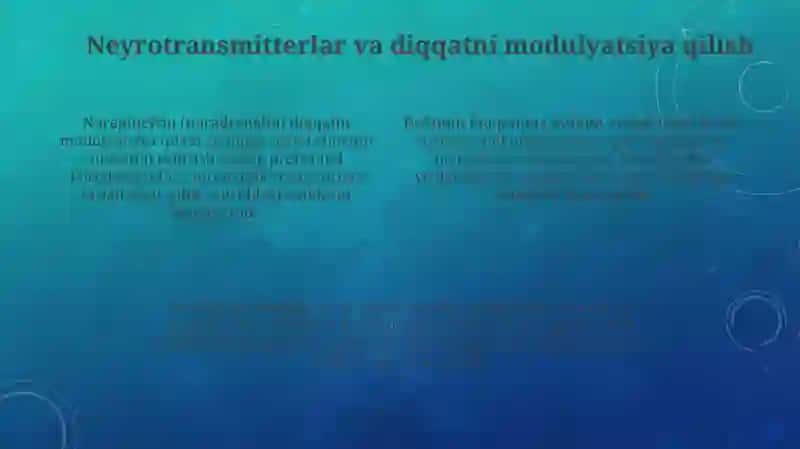 Diqqatning nerv fiziologik asoslari 4