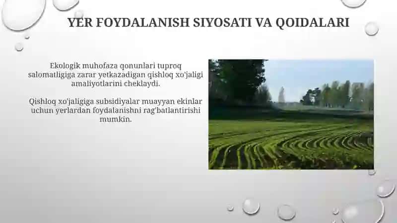 Barqaror Qishloq xo'jaligi amaliyotlari 4