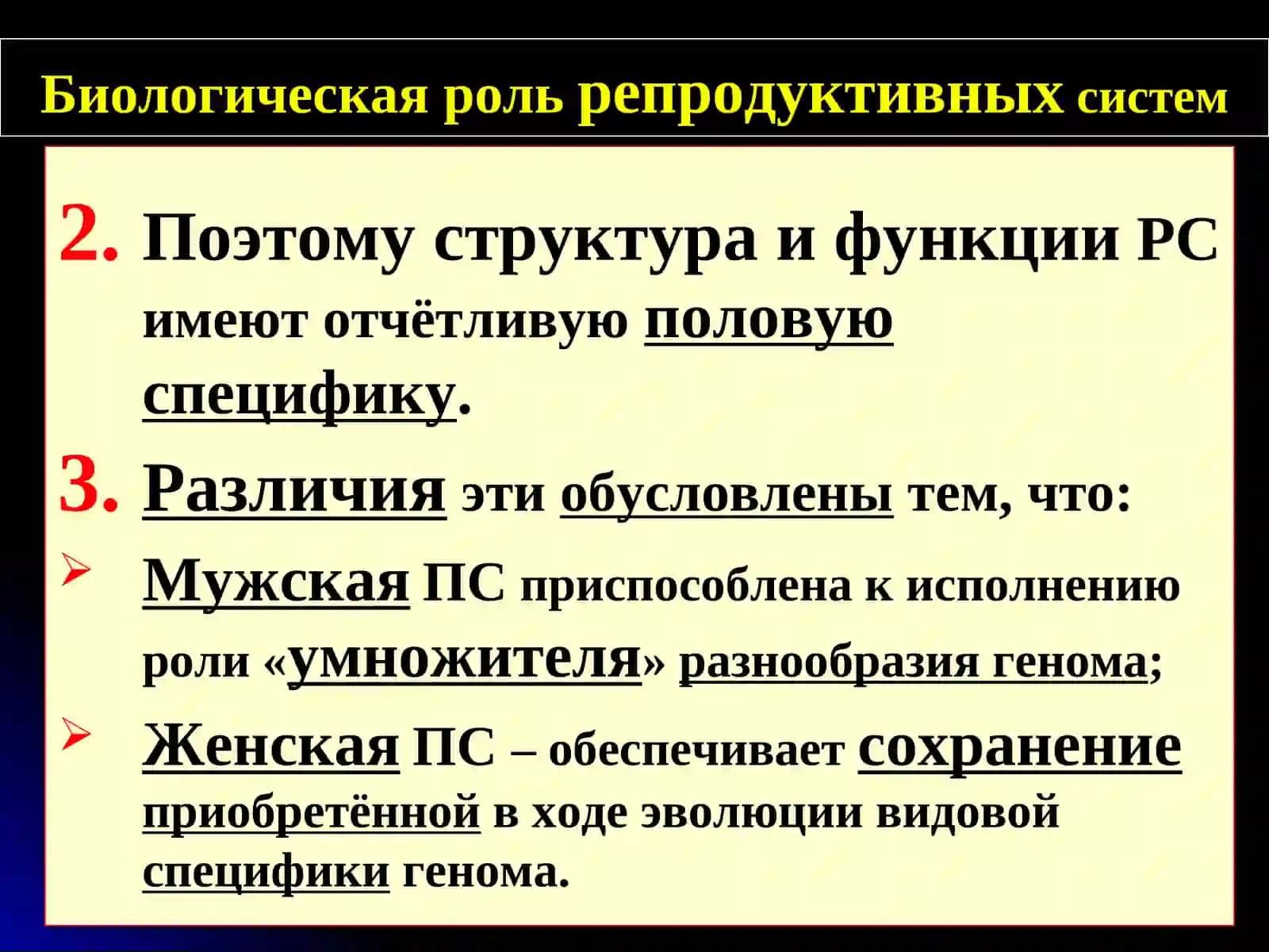 ЖЕНСКИе и МУЖСКИе половые системы (стоматологический факультет НГМУ) 4