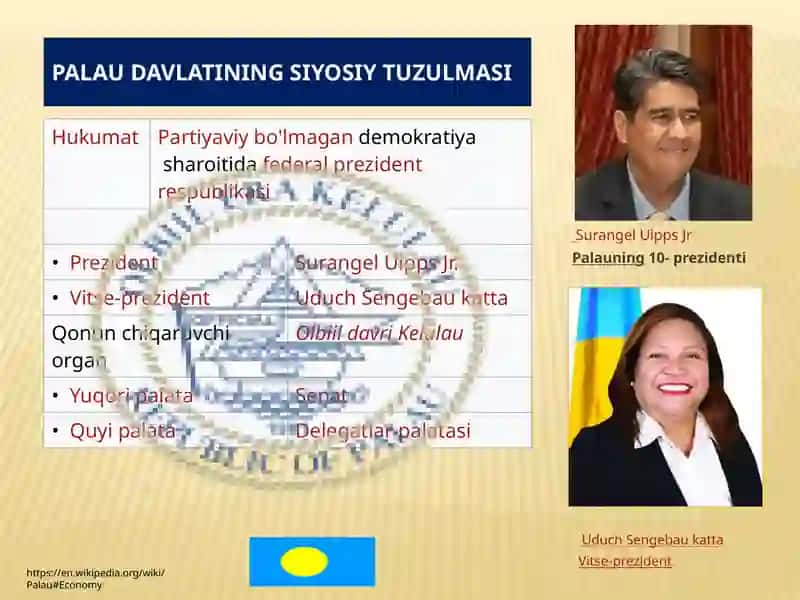 PALAURESPUBLIKASINING BOJXONA SIYOSATI TAHLILI 4