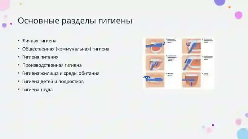 Основные разделы гигиены 4