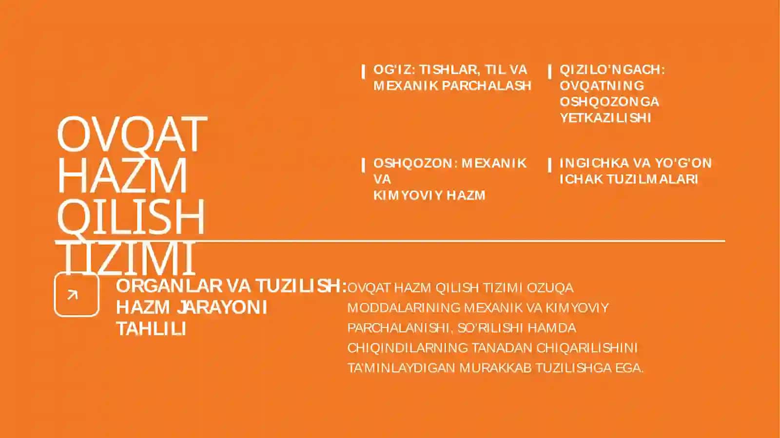 OVQAT HAZM QILISH TIZIMI VA QORIN BO'SHLIG'IDAGI HAZM JARAYONI 4