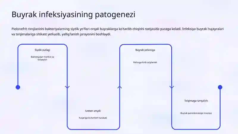O'tkir Pielonefrit: Klinikasi, Diagnostikasi va Davolash Tamoyillari 4