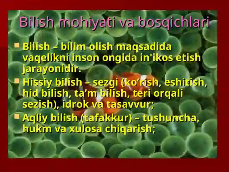 Mantiq fanining predmeti va rivojlanishining asosiy bosqichlari. Formal mantiqnini asosiy qonunlari va prinsiplari 4