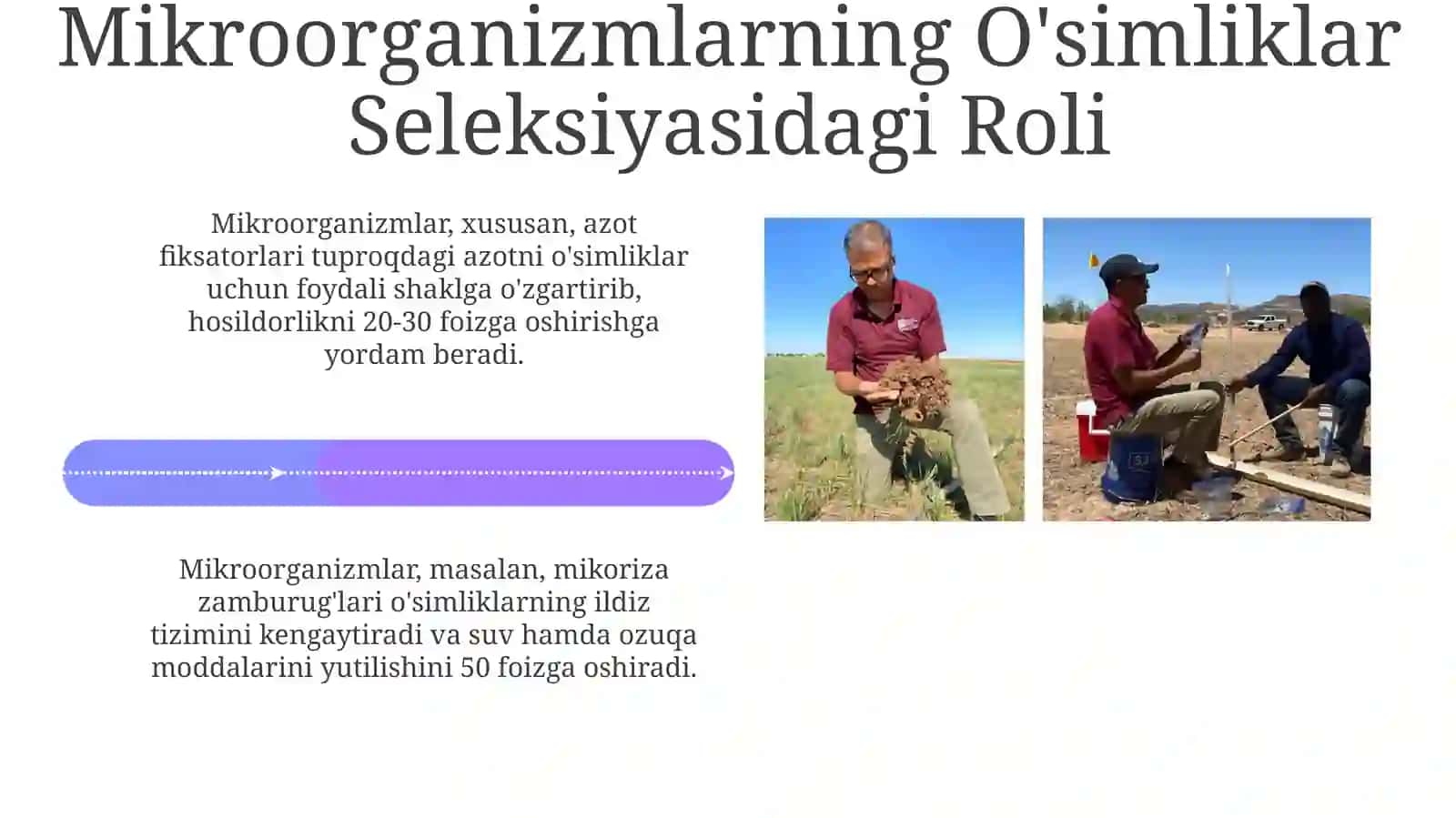 Mikroorganizim oʻsimlik va hayvonlar seleksiyasi mavzulariga doir infografika tuzish 4
