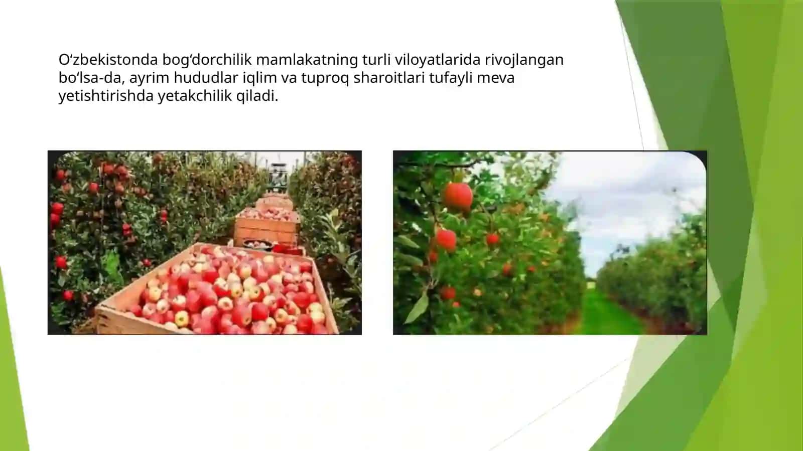 Mavzuli haritalarni loyihalash 4