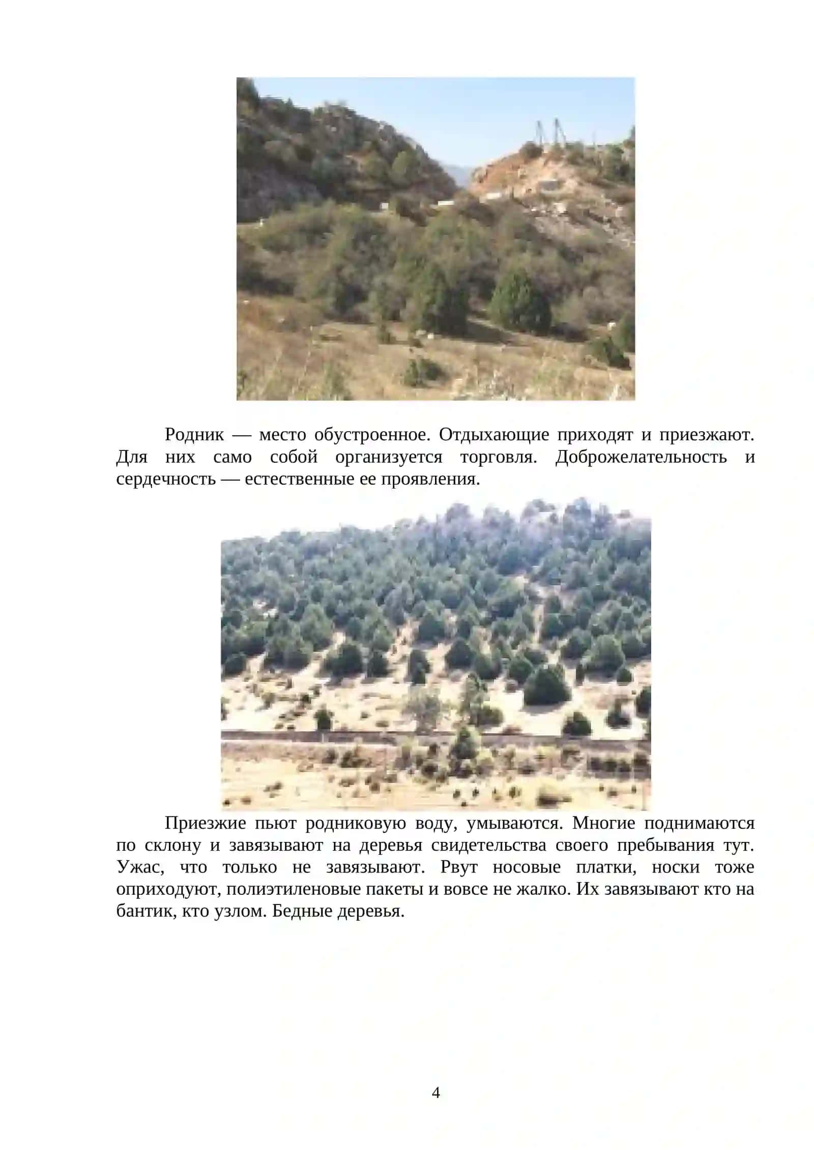 В УЗБЕКИСТАНЕ РАСТУЩИЕ ДЕРЕВЬЯ 4