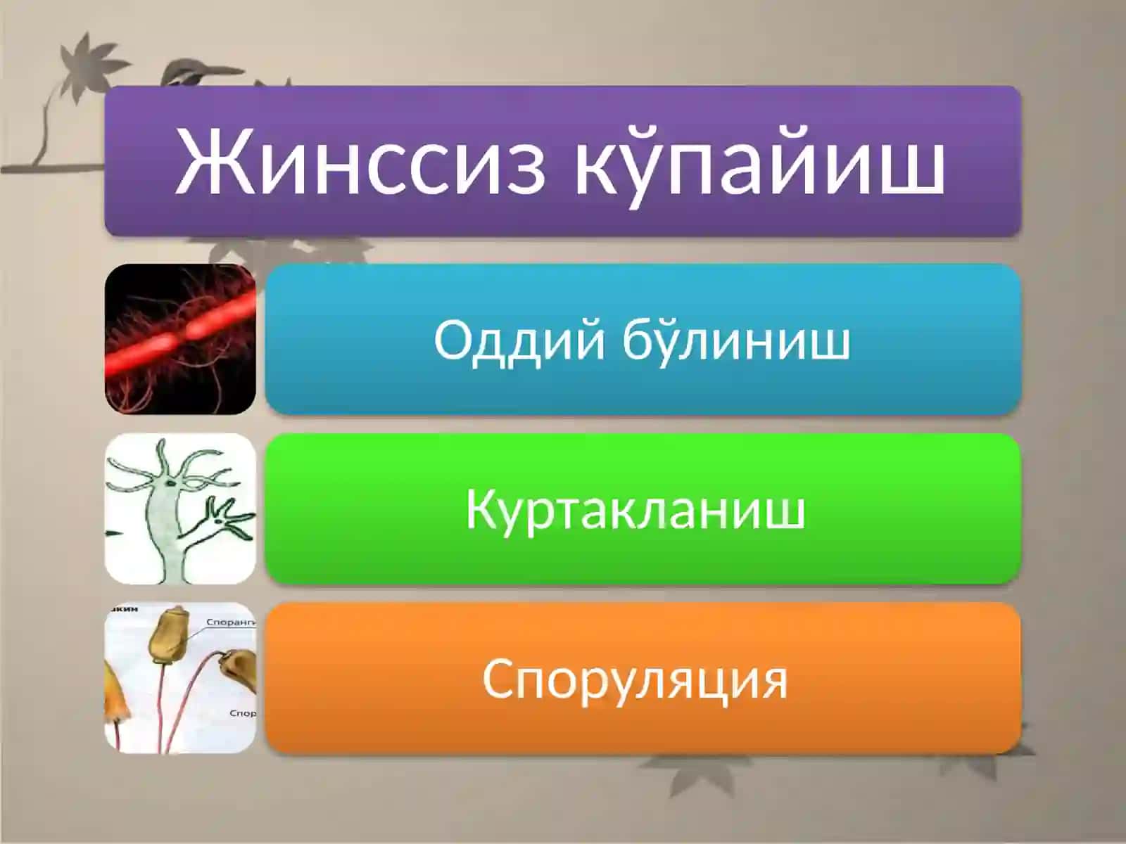 TOSHKENT TIBBIYOT AKADEMIYASI2-DAVOLASHISHI FAKULTETI106 B GURUH TALABASI 4
