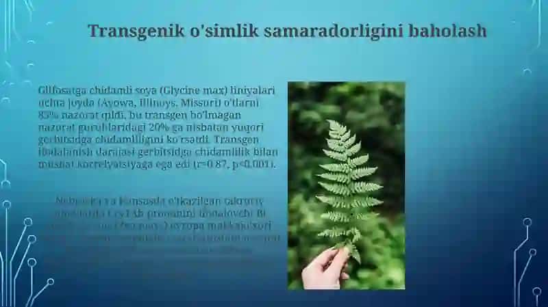 Gerbiysidlarga chidamli transgen o'simliklarni olish 4