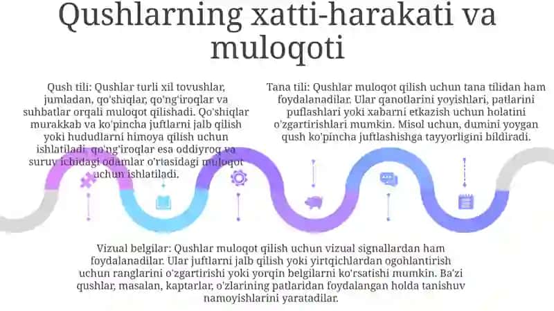 Qushlar 4