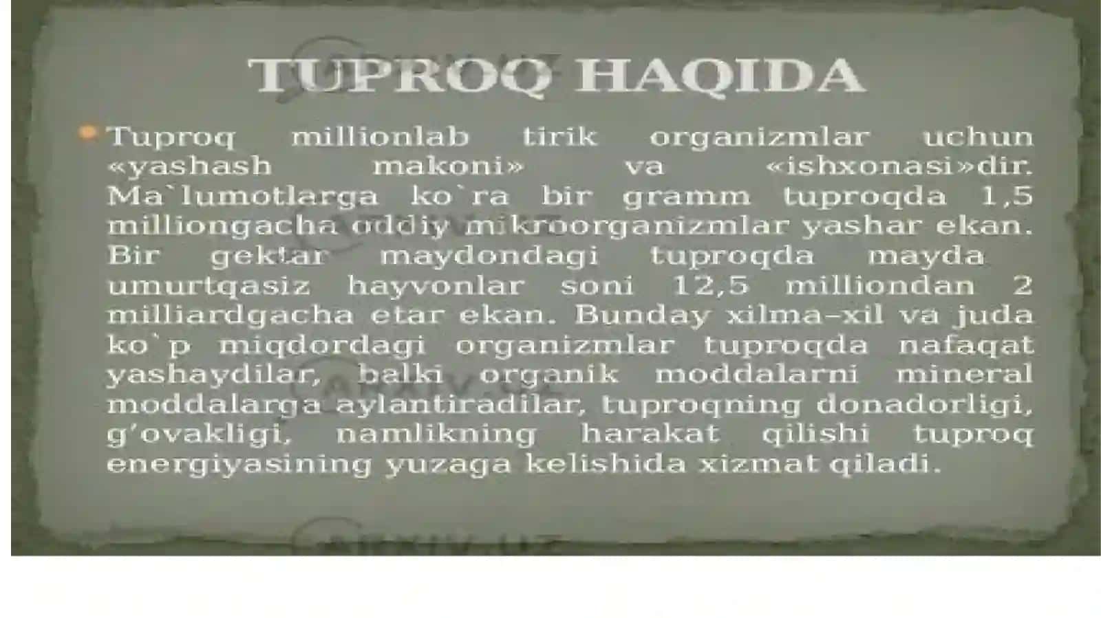 Tuproqlarning asosiy tiplari va tarqalishi 4