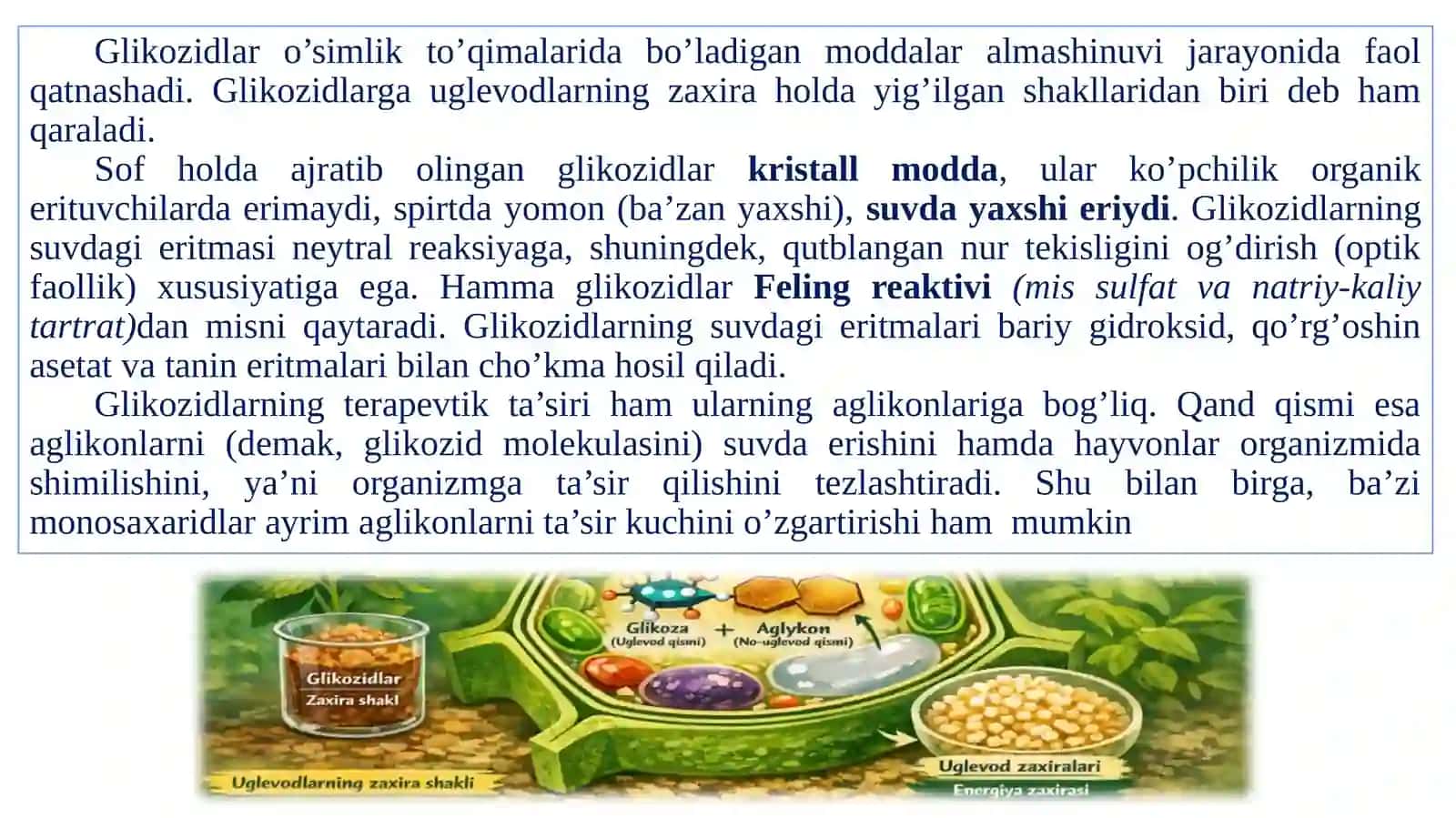 Glikozidlar 4