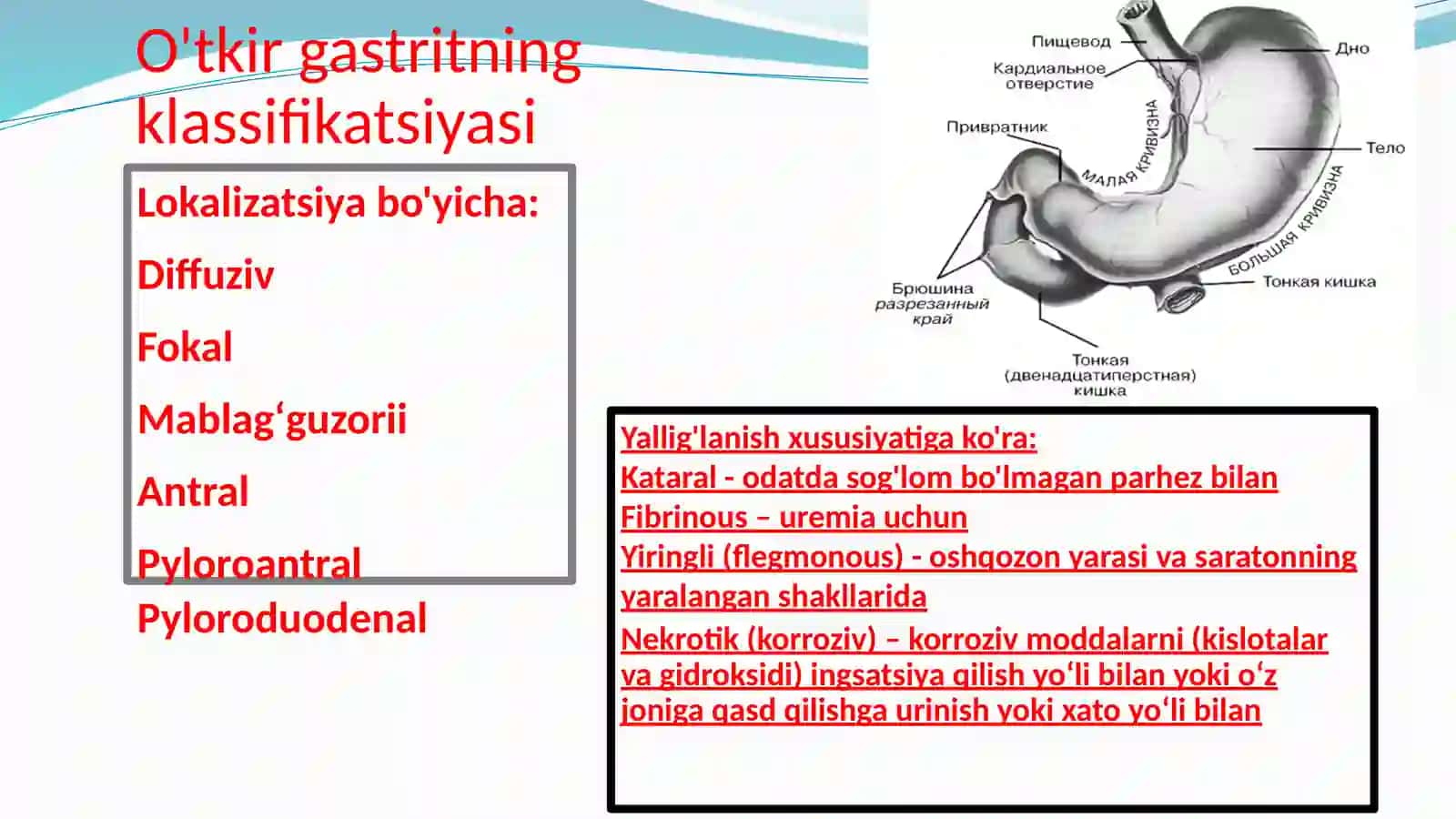 Gastrit 4