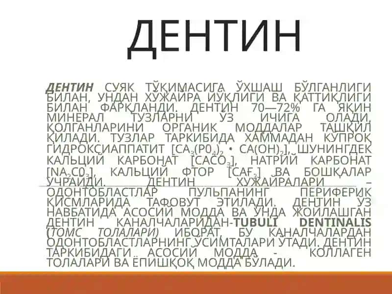 Tishning qattiq toʻqimalari: emal, sement va dentinlarning rivojlanishi va tuzilishi 4