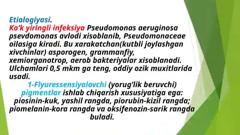 Ko’k yiringli infeksiyasi 4