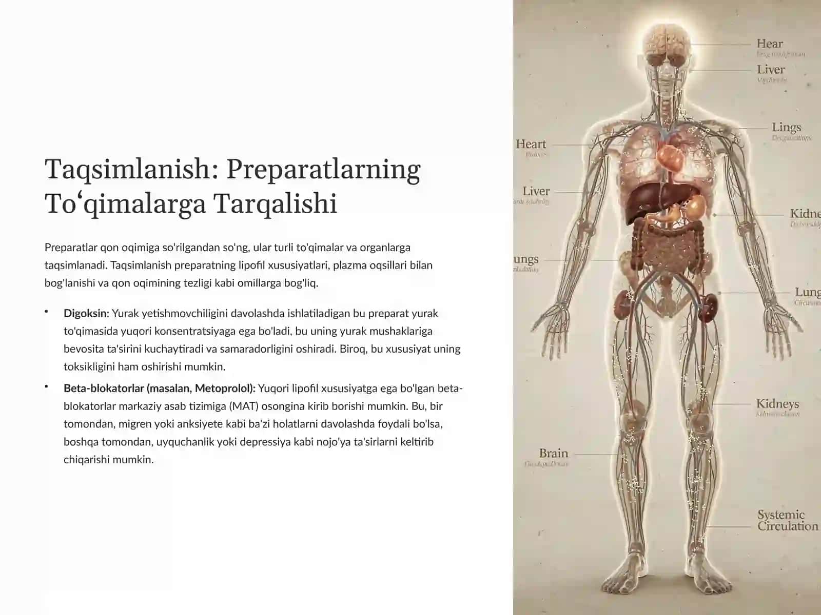 Yurak Faoliyati Yetishmovchiligini Davolashda Preparatlar Farmakokinetikasi 4