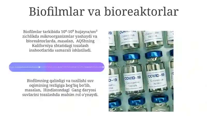 Oqava suvlarni tozalash biotexnologiyasi 4