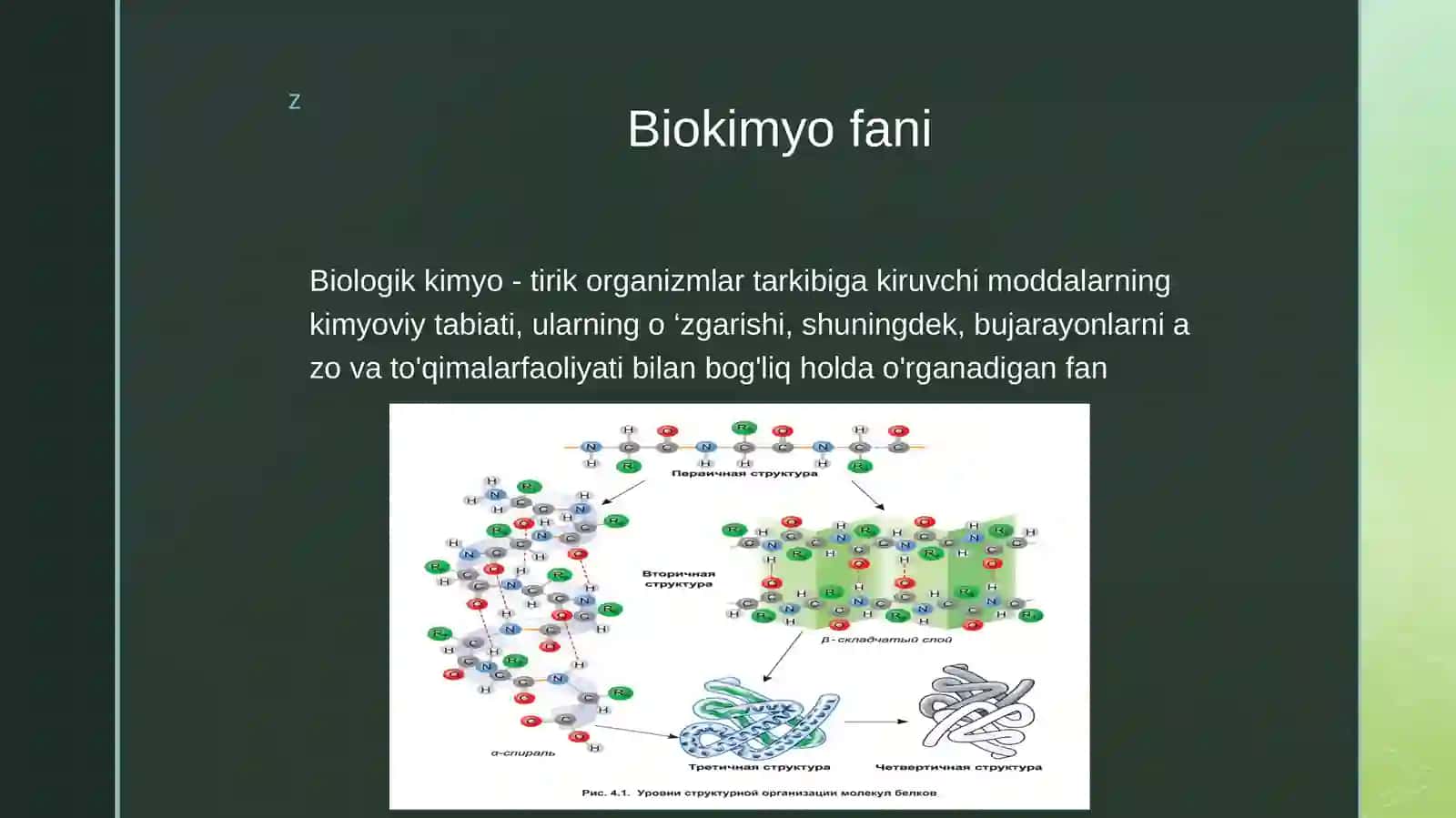 BiologikkimyofanigakirishAminokislotalarningsinflanishioqsillartuzilishi 4