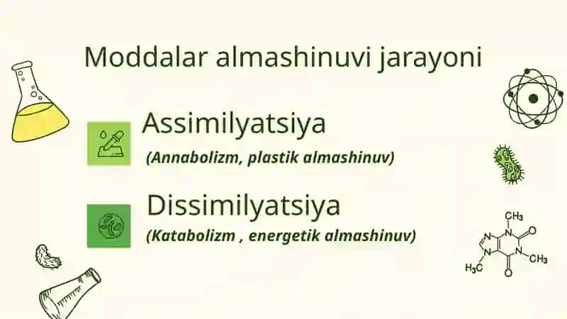 Moddalar Almashinuvi 4