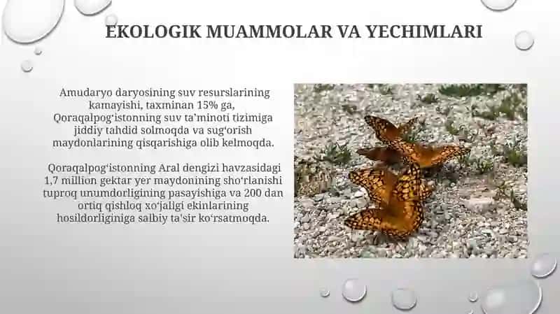 Qoraqalpogʻiston Respublikasining Mustaqillik Yillari 4