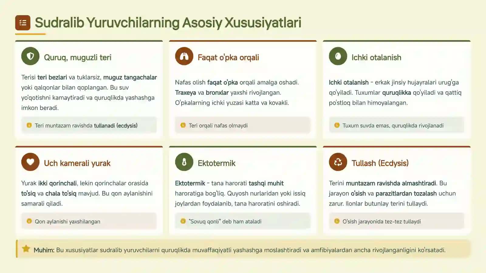 Sudralib Yuruvchilar Sinfini 4