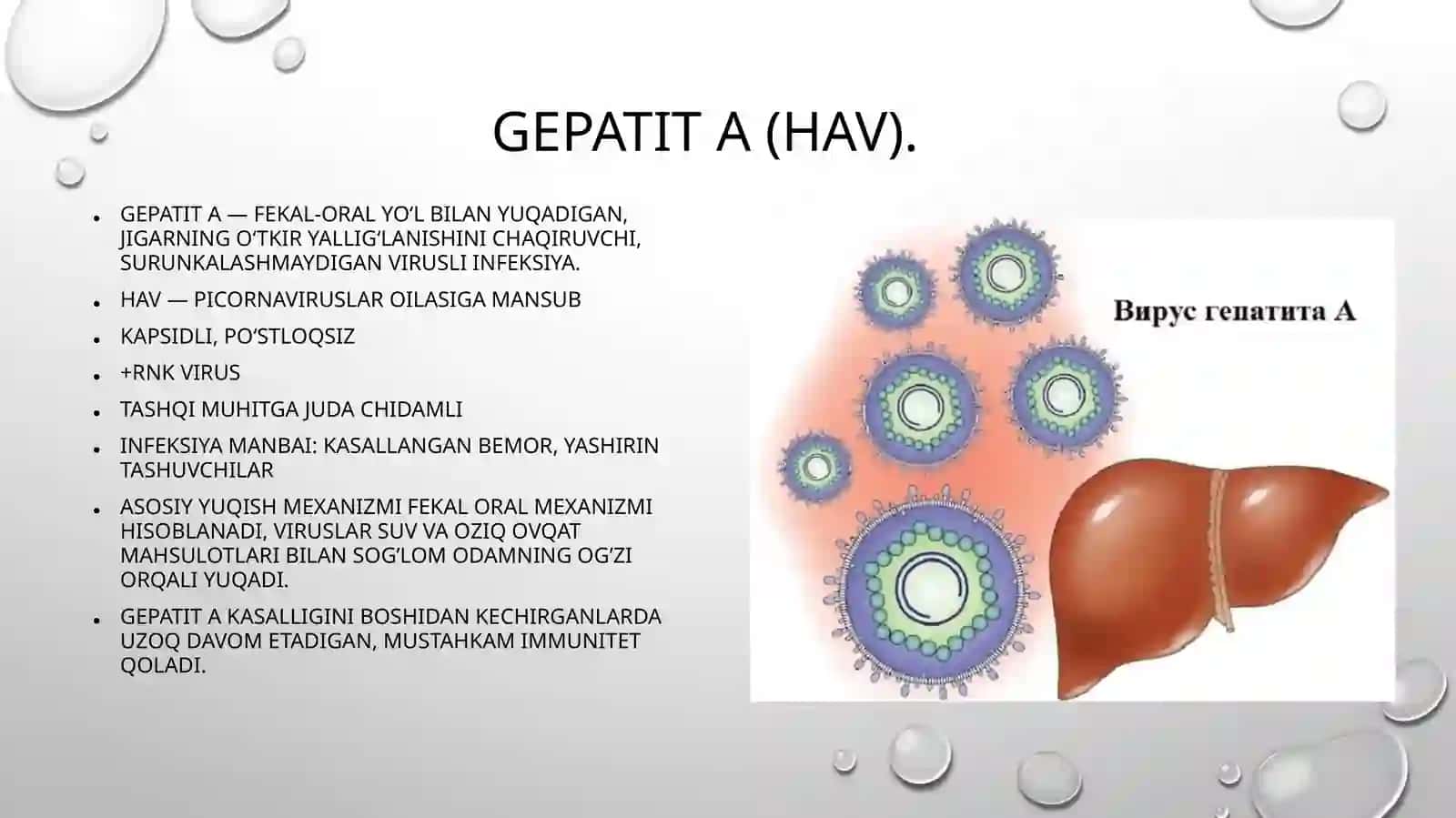Virusli gepatitlar va Orttirilgan Immun Tanqisligi Sindromi (OITS) kasalliklar epidemiologiyasi va profilaktikasi. Virusli gepatitlarning immunoprofilaktikasi. 4