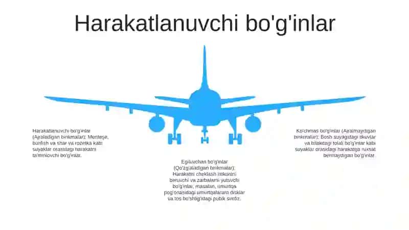 Ajraladigan bo'g'inlar 4
