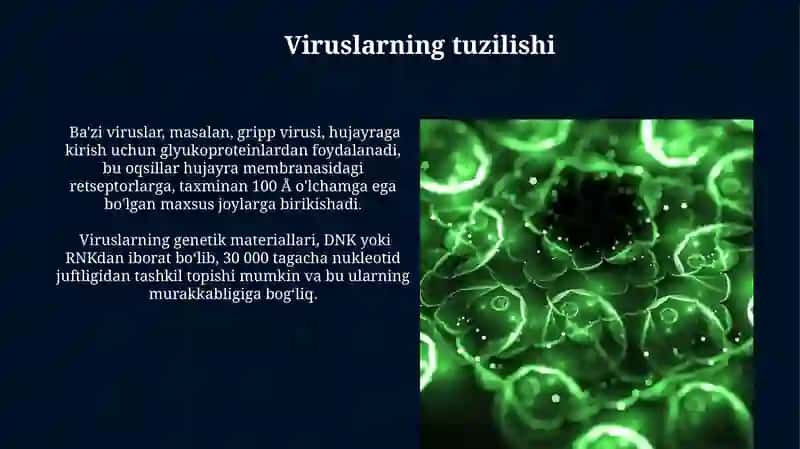 Viruslarni kelib chiqishi va ahamiyati 4