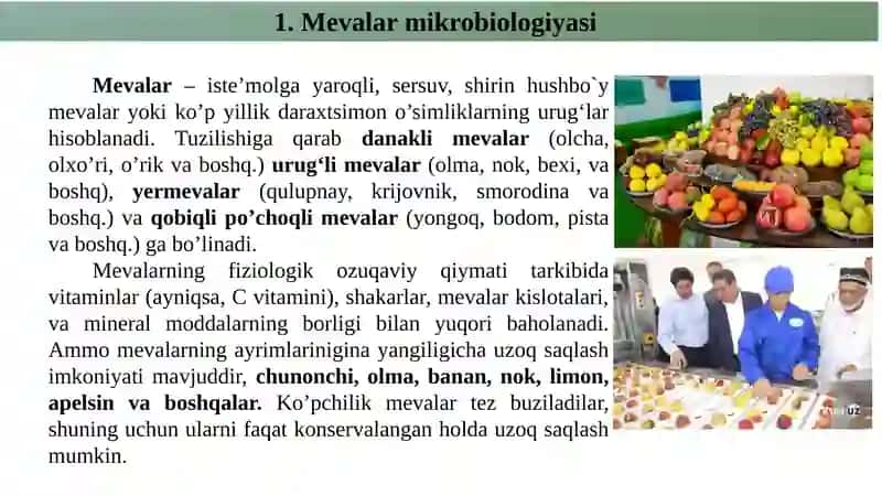 Bakteriyaning meva va sabzavot ekinlaridagi oqibatlari 4