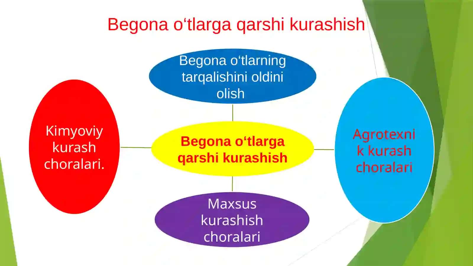 Begona o‘tlarga qarshi kurash 4
