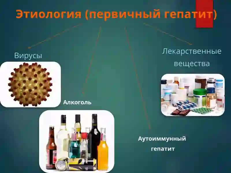 Гепатит 4
