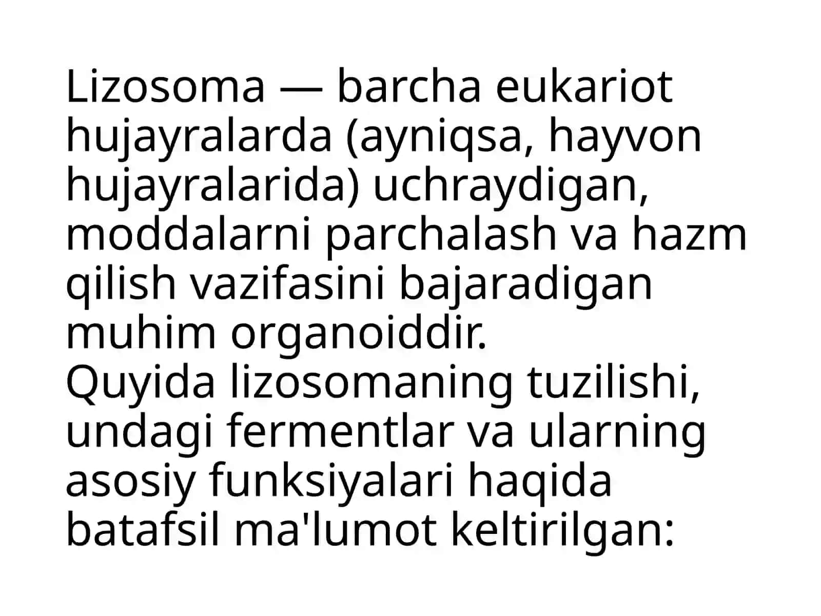 Lizosomaning tuzilishi 4