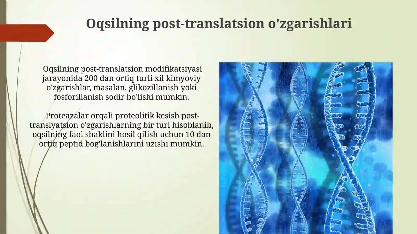 Hujayrada transkripsiya translyatsiya va replikatsiya jarayonlari 4