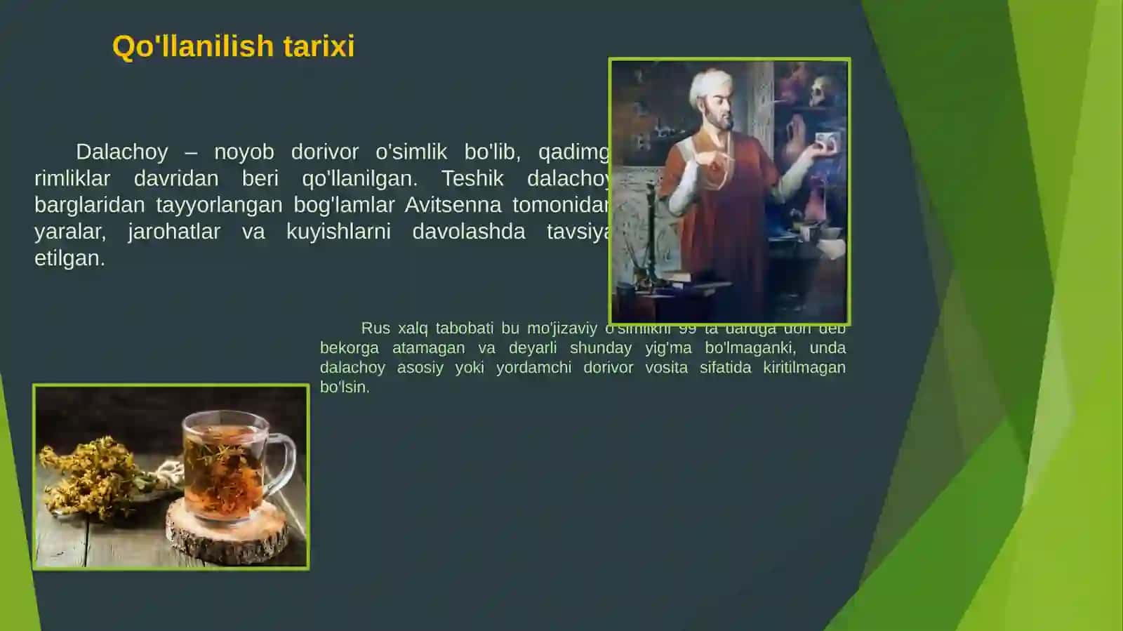 Dala choyi (dalachoy) dorivor o'simligining mavsumiy kasalliklarda qo'llanilishi 4
