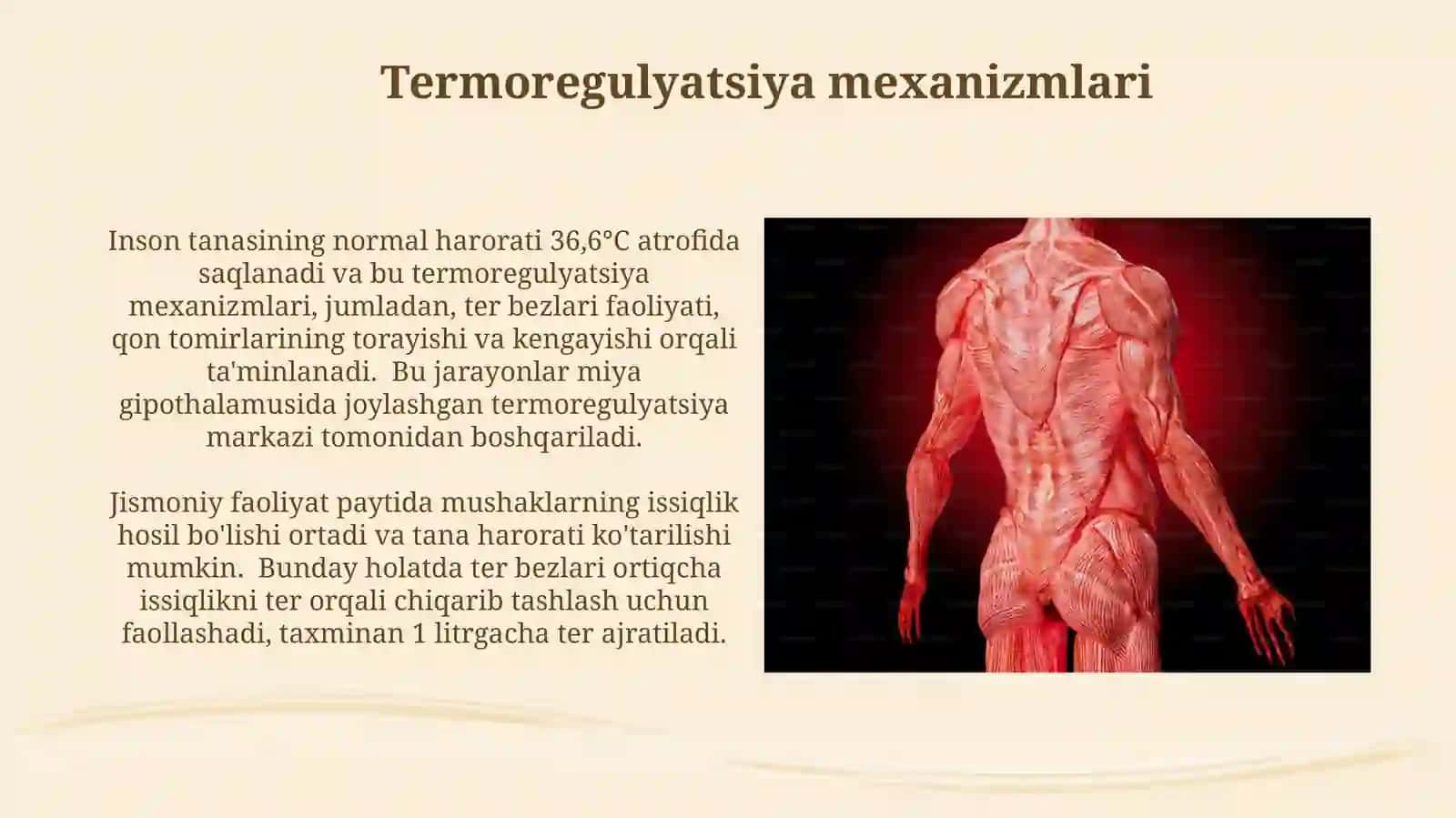 Jismoniy Sifatlarning Fiziologik Tavsifi 4