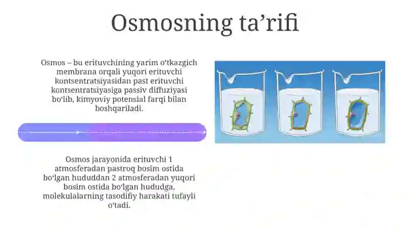 O'simliklar hujayrasi va osmos hodisasi 4