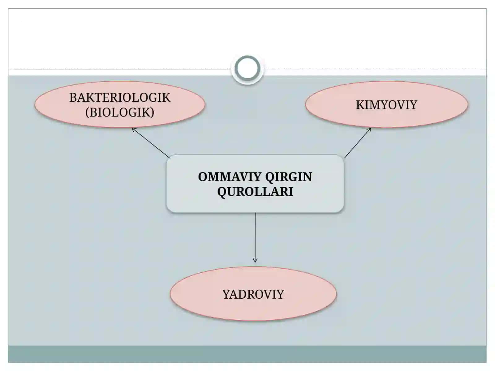 ommaviy qirg'in qurollari va yo'qotishlar.pptx 4