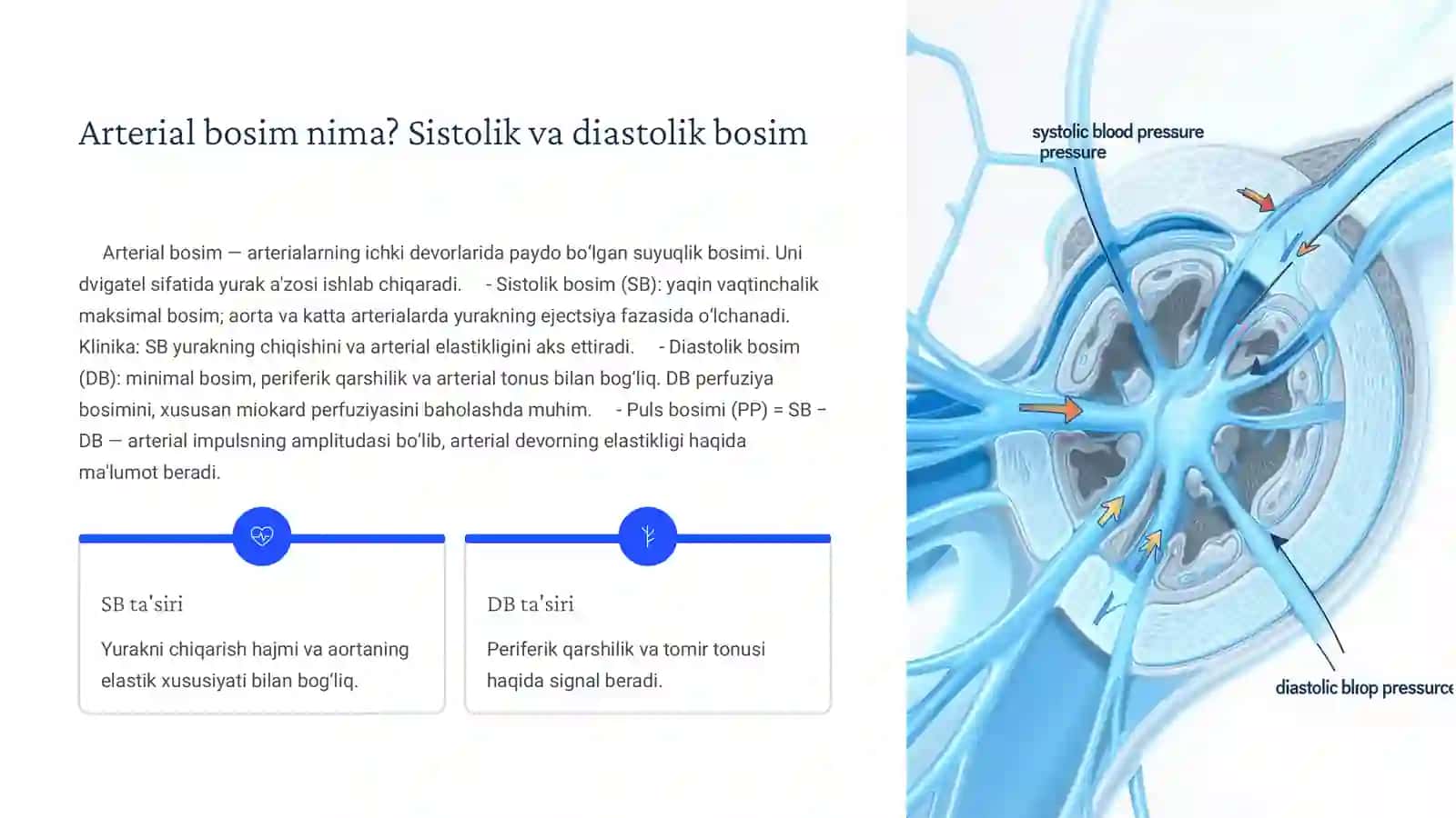 biofizika Arterial bosimni aniqlashning fizik asoslari: Puls to'lqini 4