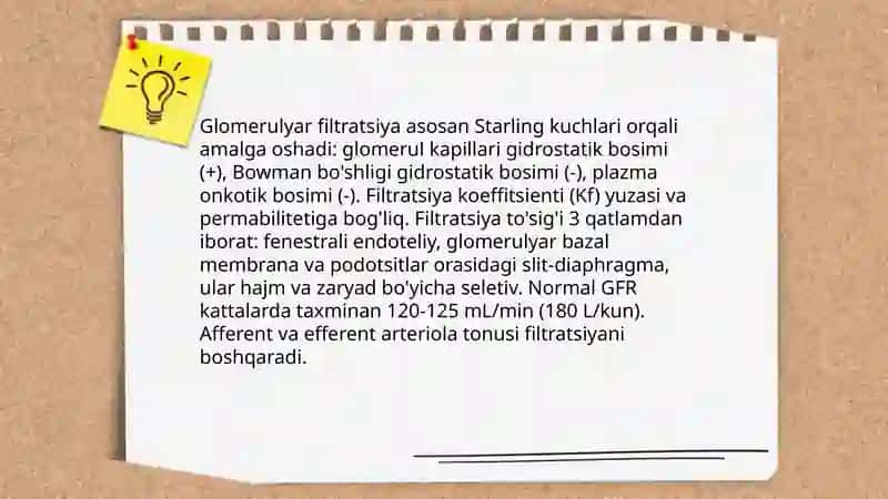Buyraklar fiziologiyasi Ayirish sistemasi 4