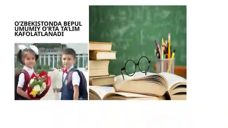 Ta'lim to'g'risidagi qonuni reja 4